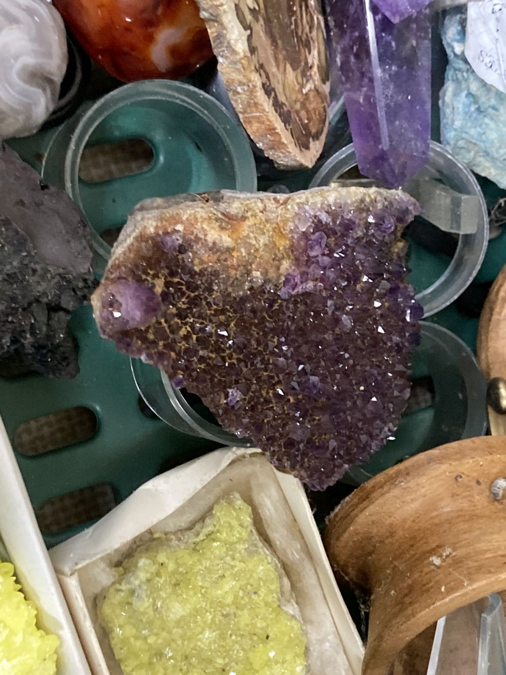 A collection of minerals and fossils